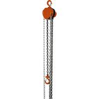 VHC Series Chain Hoists, 10' Lift, 1100 lbs. (0.5 tons) Capacity, Alloy Steel Chain UAW085 | Brunswick Fyr & Safety