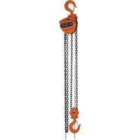 KCH Series Chain Hoists, 10' Lift, 6600 lbs. (3 tons) Capacity, Alloy Steel Chain UAW089 | Brunswick Fyr & Safety