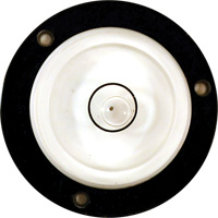 Bull's-Eye Level Brunswick Fyr & Safety