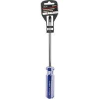 Blue Transparent Striped Philips Screwdriver, #3, Plastic Handle Brunswick Fyr & Safety