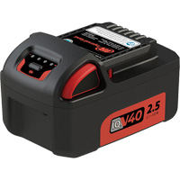 Battery, Lithium-Ion, 40 V Brunswick Fyr & Safety