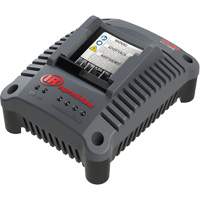 Chargeur de batterie compact IQV20, 20 V, Lithium-ion Brunswick Fyr & Safety