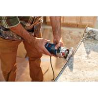 Colt Electronic Variable-Speed Palm Router Brunswick Fyr & Safety