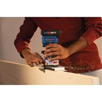 Brushless Colt Palm Router Brunswick Fyr & Safety