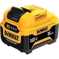 Bloc-pile MAX*, Lithium-ion, 12 V, 5 Ah Brunswick Fyr & Safety