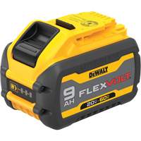 Bloc-pile FLEXVOLT, Lithium-ion, 20 V/60 V, 9 Ah Brunswick Fyr & Safety