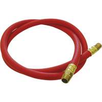 Tuyau de raccordement pour d&eacute;vidoir de tuyau, Air, Caoutchouc EDPM, 1/2" dia. x 5', 300 psi, 1/2 NPT Brunswick Fyr & Safety