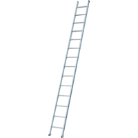 Industrial Heavy-Duty Extension/Straight Ladders, 8', Aluminum, 300 lbs., CSA Grade 1A VC273 | Brunswick Fyr & Safety