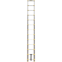 Telescopic Ladder, 3' - 12', Aluminum, 250 lbs. Capacity, Type 1 VC441 | Brunswick Fyr & Safety