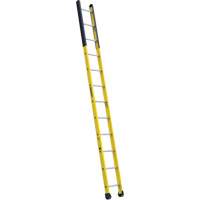 Single Manhole Ladder, 12', Fibreglass, 375 lbs., CSA Grade 1AA VD466 | Brunswick Fyr & Safety