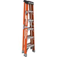 Escabeau, 6', Fibre de verre, Capacit&eacute; 375 lb, Type 1AA Brunswick Fyr & Safety