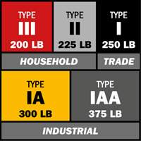 Step Ladder with Paint Tray, 10', Aluminum, 225 lbs. Capacity, Type 2 Brunswick Fyr & Safety