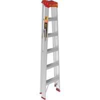 Step Ladder, 6', Aluminum, 200 lbs. Capacity, Type 3 Brunswick Fyr & Safety