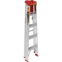 Step Ladder with Paint Tray, 5', Aluminum, 200 lbs. Capacity, Type 3 Brunswick Fyr & Safety