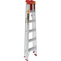 Step Ladder with Paint Tray, 6', Aluminum, 200 lbs. Capacity, Type 3 Brunswick Fyr & Safety