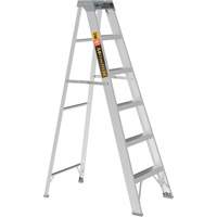 Step Ladder, 6', Aluminum, 225 lbs. Capacity, Type 2 Brunswick Fyr & Safety