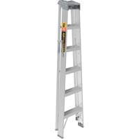 Step Ladder, 6', Aluminum, 225 lbs. Capacity, Type 2 Brunswick Fyr & Safety