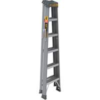 Step Ladder, 6', Fibreglass, 225 lbs. Capacity, Type 2 Brunswick Fyr & Safety