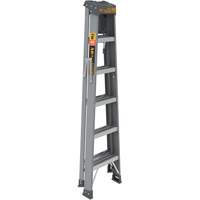 Step Ladder with Paint Tray, 6', Fibreglass, 225 lbs. Capacity, Type 2 Brunswick Fyr & Safety