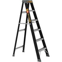 Step Ladder, 6', Fibreglass, 250 lbs. Capacity, Type 1 Brunswick Fyr & Safety