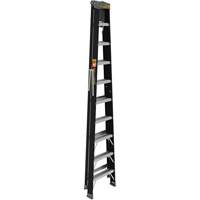 Step Ladder with Paint Tray, 10', Fibreglass, 250 lbs. Capacity, Type 1 Brunswick Fyr & Safety