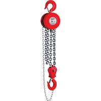 Chain Hoist, 8' Lift, 11023 lbs. (5 tons) Capacity Brunswick Fyr & Safety