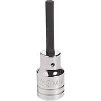 Embout &agrave; ins&eacute;rer, Hexagonale, 18 mm x 4" lo, Prise 1/2" Brunswick Fyr & Safety