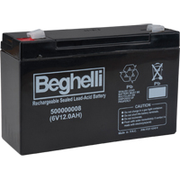 Sealed Lead Acid Batteries, 6 V, 12 Ah Brunswick Fyr & Safety
