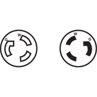 Prise mise &agrave; la terre verrouillable &agrave; deux bornes et trois fils, Nylon, 15 A, 250 V, L6-15P Brunswick Fyr & Safety