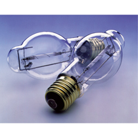 High Intensity Discharge Lamps (HID) XB202 | Brunswick Fyr & Safety