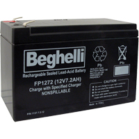 Sealed Lead Acid Batteries, 12 V, 7.2 Ah XB922 | Brunswick Fyr & Safety