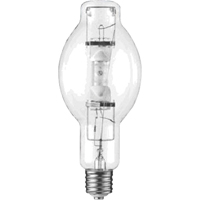 Replacement Bulbs XC454 | Brunswick Fyr & Safety