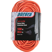 Cordon rallonge en vinyle, Ext&eacute;rieur, SJTW, AWG 14/3, 13 A, 100' Brunswick Fyr & Safety