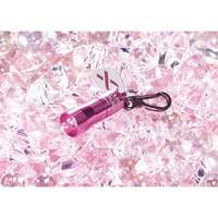 Lampes de poche Nano Light Brunswick Fyr & Safety