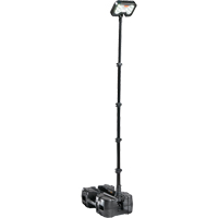 9490 Remote Area Lighting Systems, LED, 53.3 W, 6000 Lumens, Plastic Housing Brunswick Fyr & Safety
