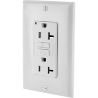 GFCI Decora&reg; Outlet Brunswick Fyr & Safety
