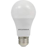 Ampoule DEL, A19, 8,5 W, 800 lumens, base Moyen Brunswick Fyr & Safety