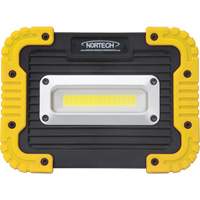 Lampe de travail portative, DEL, 10 W, 1000 lumens, Boîtier en Plastique Brunswick Fyr & Safety