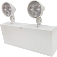 Easy-Out Battery Unit, Steel, LED, 120 - 347 V Brunswick Fyr & Safety