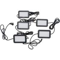 Chaîne de baladeuses DEL, 5 Lumi&egrave;res, 50' lo, Boîtier en Plastique Brunswick Fyr & Safety