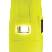 Lampe de poche VLO, DEL, 280 lumens, Piles AA XI296 | Brunswick Fyr & Safety