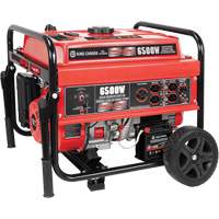 Electric Start Gas Generator with Wheel Kit, 6500 W Surge, 5000 W Rated, 120 V/240 V, 20 L Tank XI537 | Brunswick Fyr & Safety