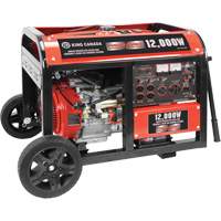 Electric Start Gas Generator with Wheel Kit, 12000 W Surge, 9000 W Rated, 120 V/240 V, 31 L Tank XI538 | Brunswick Fyr & Safety