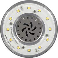 Lampe haute luminosité Ultra LED<sup>MC</sup>, DHI, 36 W, 4800 lumens, base Mogul XI556 | Brunswick Fyr & Safety