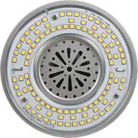 Lampe haute luminosité Ultra LED<sup>MC</sup>, DHI, 100 W, 13500 lumens, base Mogul XI565 | Brunswick Fyr & Safety