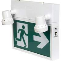 Running Man Sign with Security Lights, LED, Battery Operated/Hardwired, 12-1/10" L x 11" W, Pictogram Brunswick Fyr & Safety