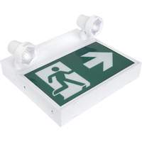 Running Man Sign with Security Lights, LED, Battery Operated/Hardwired, 12-1/10" L x 11" W, Pictogram XI790 | Brunswick Fyr & Safety