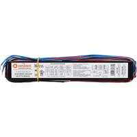 T8 3-Lamp Fluorescent Ballast Brunswick Fyr & Safety