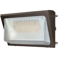 Wall Pack Light Fixture, LED, 120 -347 V, 40 W Brunswick Fyr & Safety