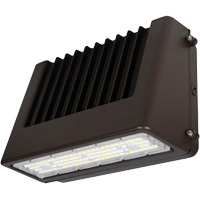 Wall Pack Light Fixture, LED, 120 V, 80 W, 6.5" H x 9.3" W x 14.4" D Brunswick Fyr & Safety